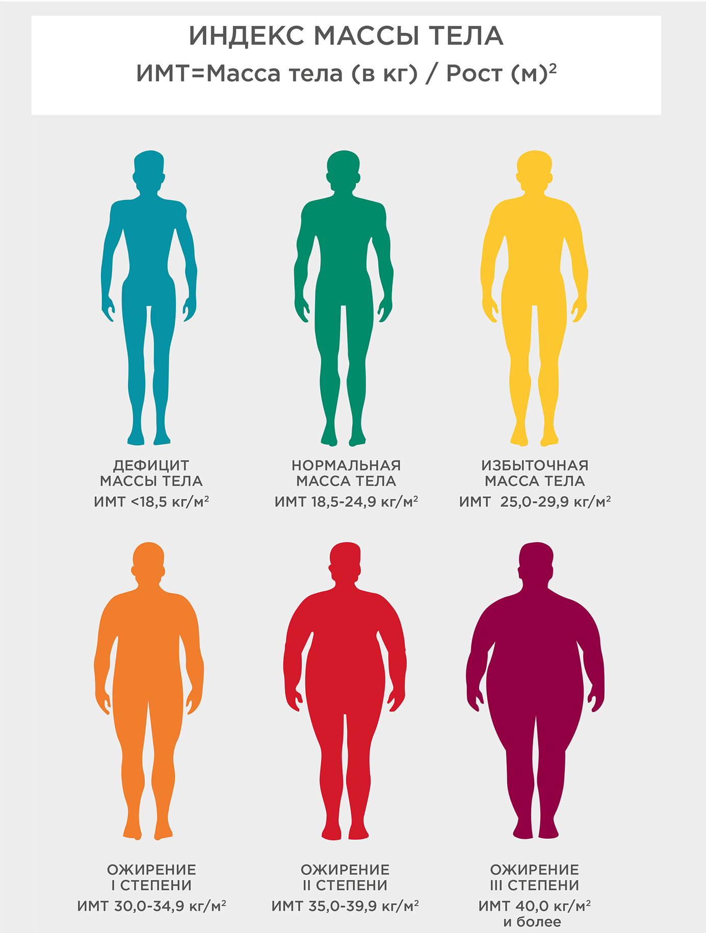 Ожирение – комплексное хроническое заболевание, при котором избыточное накопление жировой ткани может отрицательно влиять на состояние здоровья.