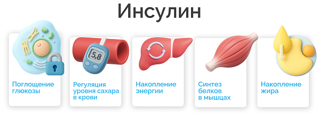 инсулин