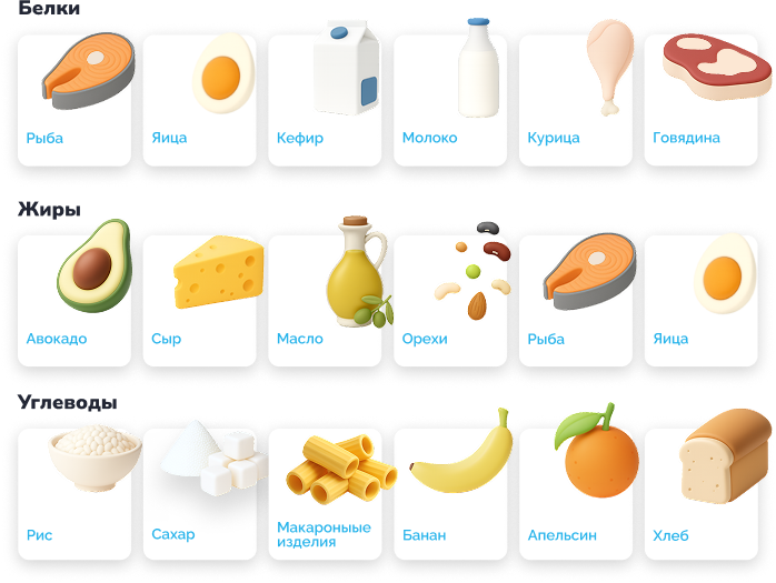 Макронутриенты: строительный материал и источник энергии